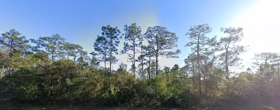 20106 E Colonial Drive, Christmas, FL 32709 - #3