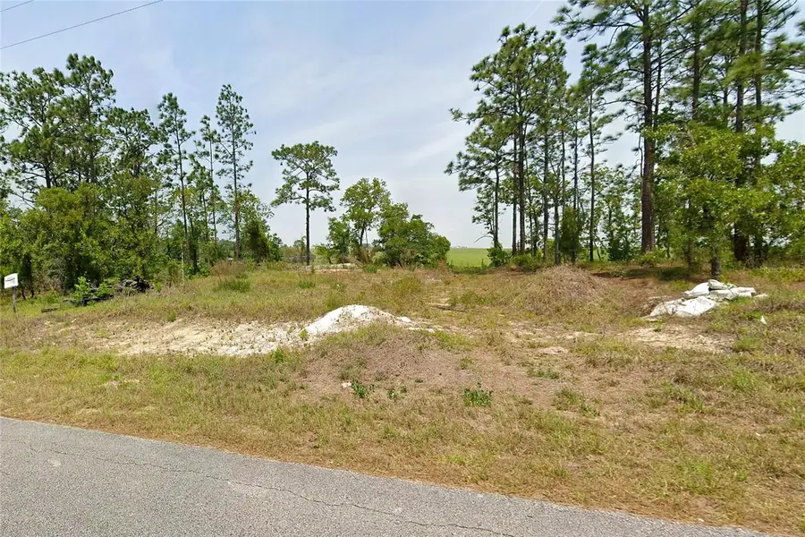 Nw Falcon Avenue, Dunnellon, FL 34431 - #2