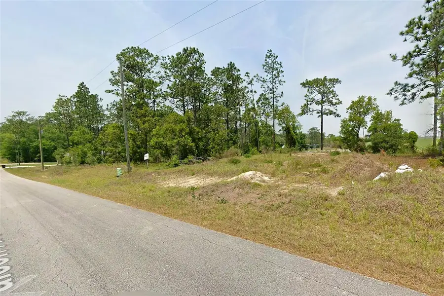 Nw Falcon Avenue, Dunnellon, FL 34431 - #3