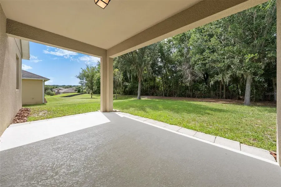 3729 Chandler Estates Drive, Apopka, FL 32712 - #2