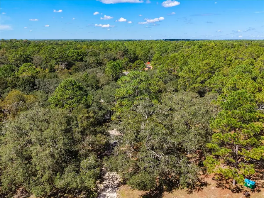 4750 SW 160th Court, Ocala, FL 34481 - #3