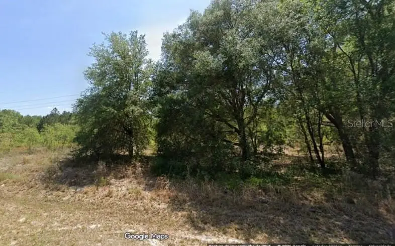 Locust Road, Ocala, FL 34472 - #3