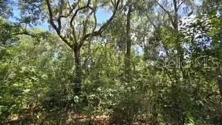 4284 Cr 575, Bushnell, FL 33513 - #3