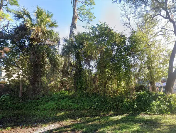 2311 Unity Tree Dr, EDGEWATER, FL 32141