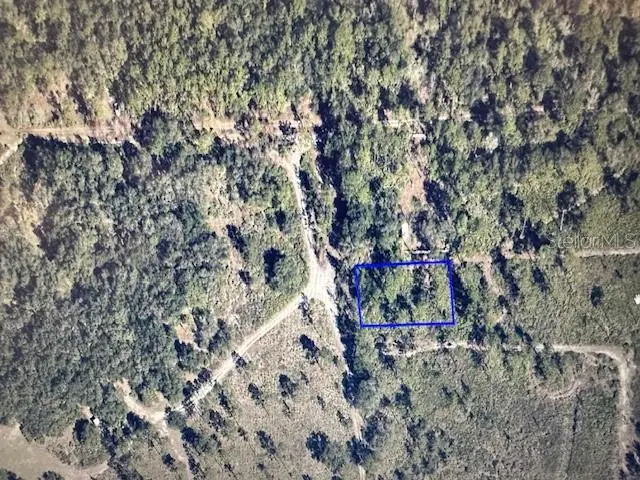 207 N 3rd Street, Orlando, FL 32833 - #3