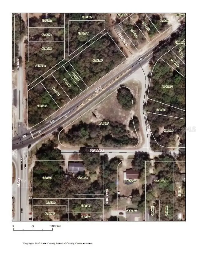 Frida Ave, Mount Plymouth, FL 32776 - #1