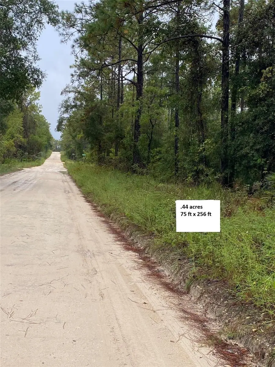 Tbd Sw 27th Lane, Ocala, FL 34481 - #1