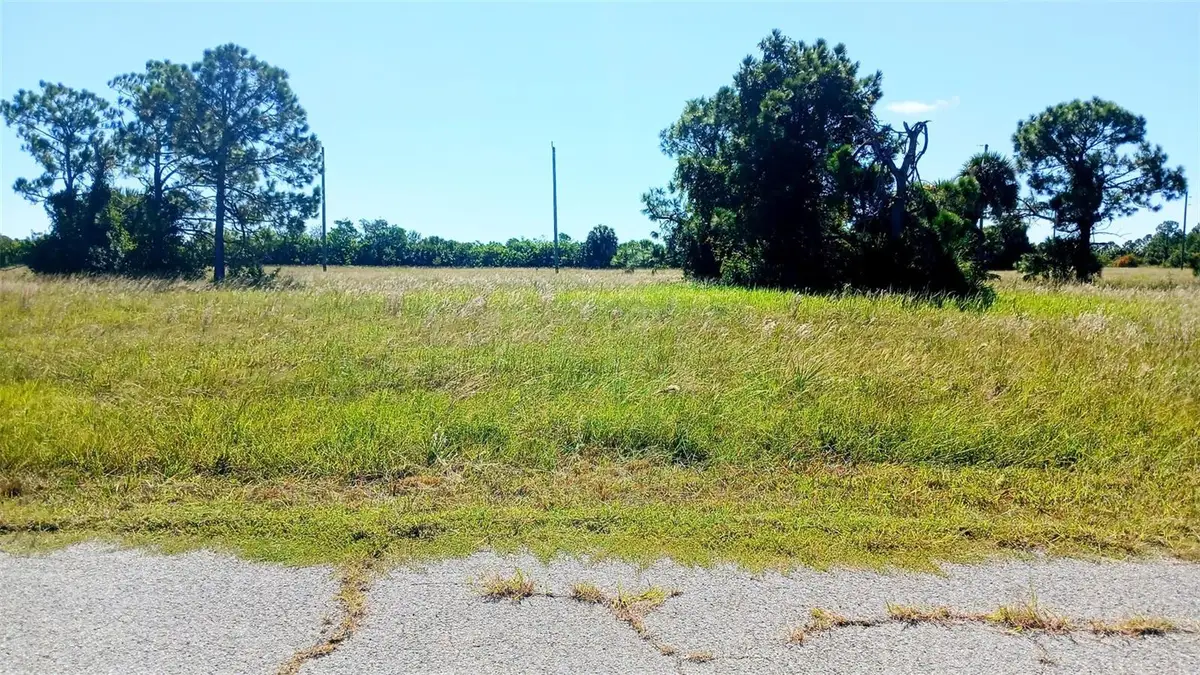 13732 Walleye Way, Placida, FL 33946 - #1
