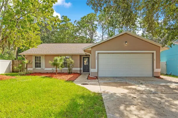 11224 Cypress Leaf Drive, ORLANDO, FL 32825