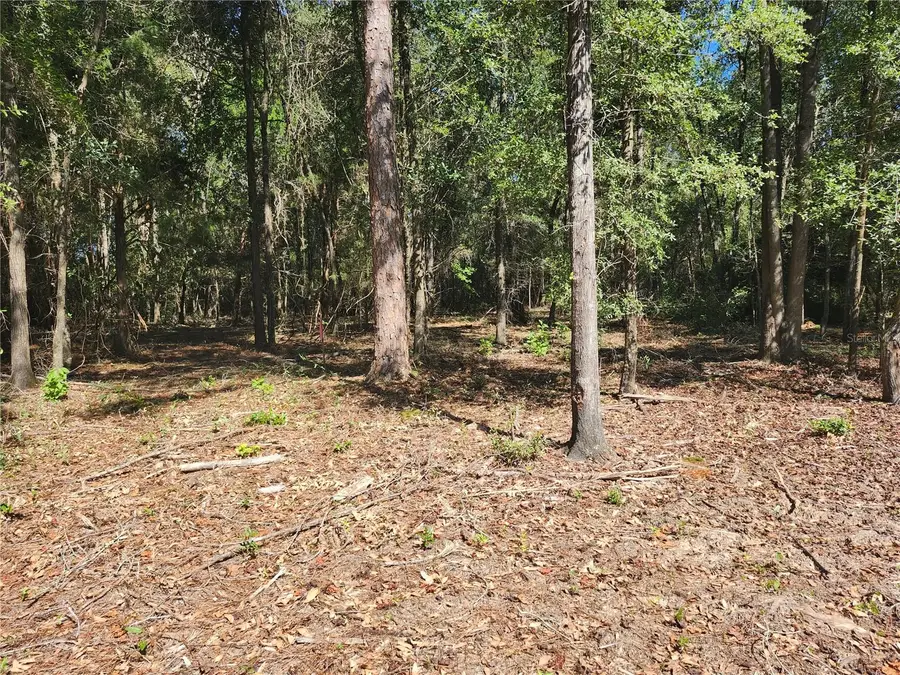 Marcus Drive, Greenwood, FL 32443 - #3