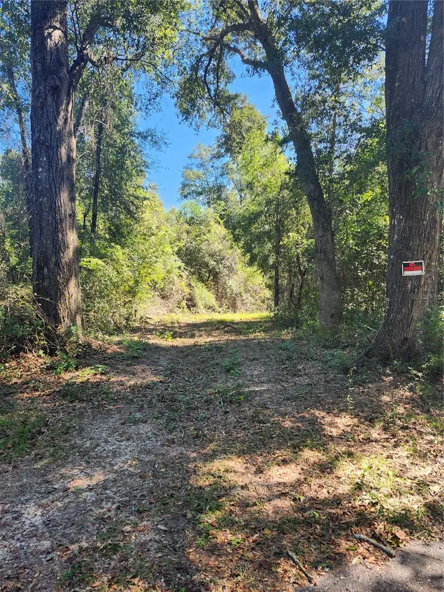 Marcus Drive, Greenwood, FL 32443 - #2