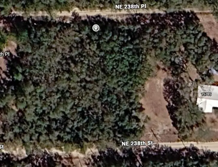 Ne 238th Pl, Fort McCoy, FL 32134 - #1
