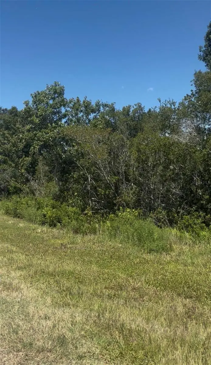 2836 W Starr Road, Avon Park, FL 33825 - #2