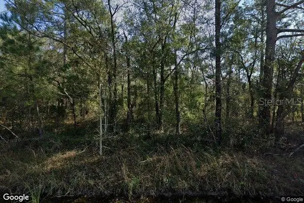 10100 Vaughan Avenue, HASTINGS, FL 32145