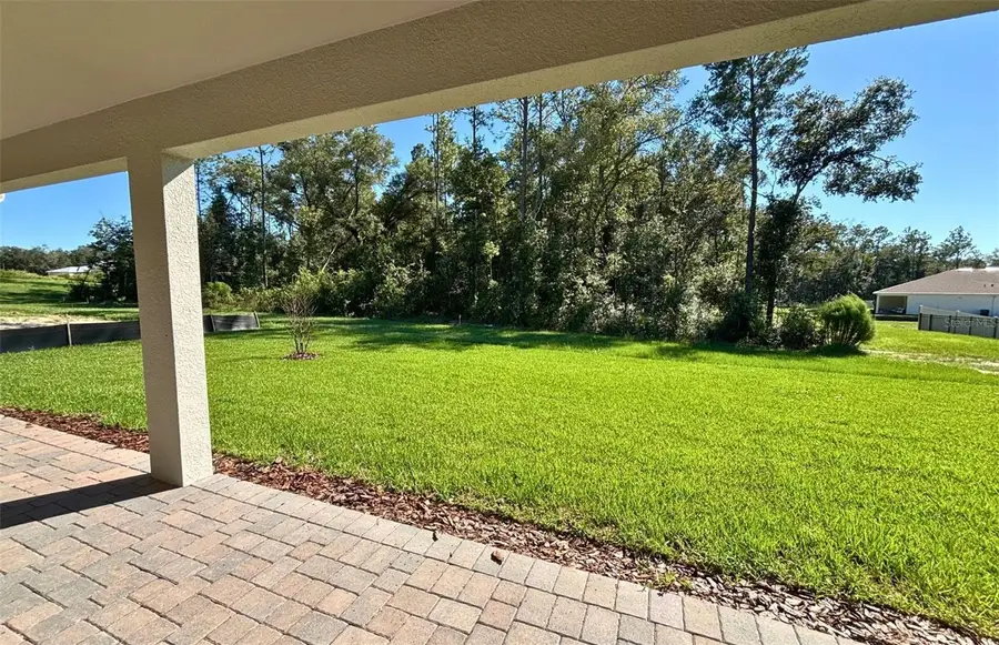 4908 Handsome Hills Drive, Mount Dora, FL 32757 - #2