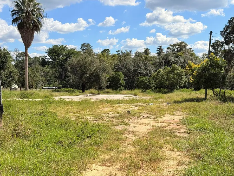 10306 Dwights Road, Clermont, FL 34714 - #3
