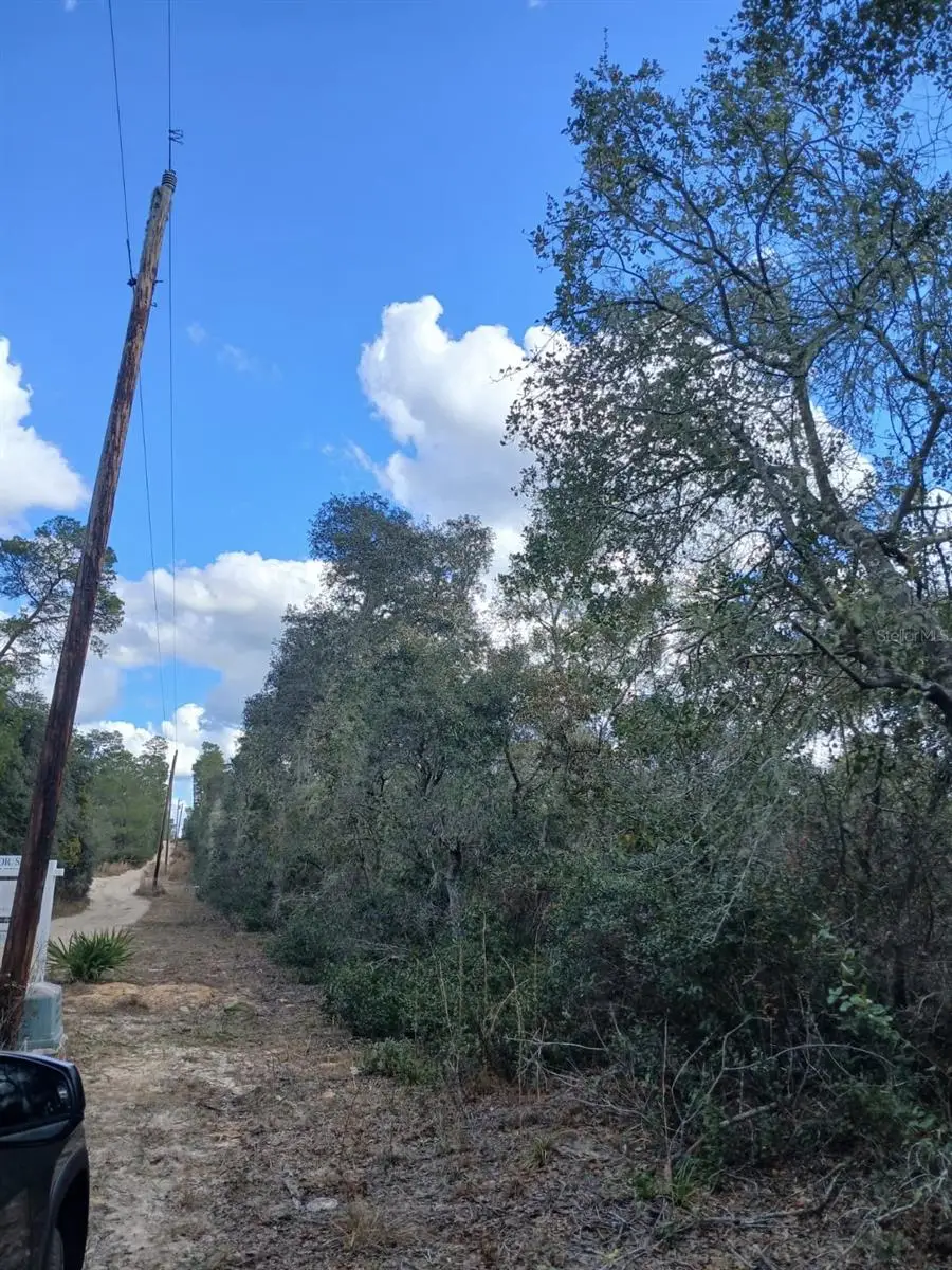 TBD NE 234 Th Place #Lots 19.20.21, Fort McCoy, FL 32134 - #1