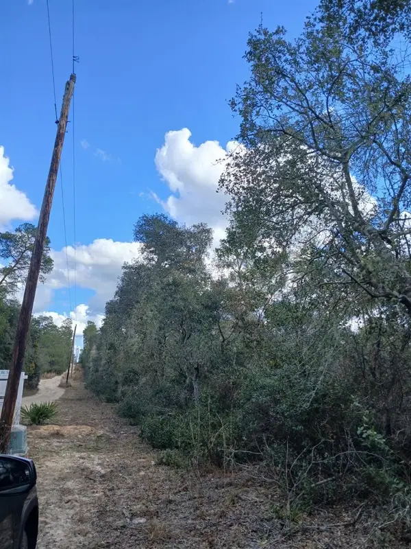 TBD NE 234 Th Place #Lots 19.20.21, FORT MC COY, FL 32134