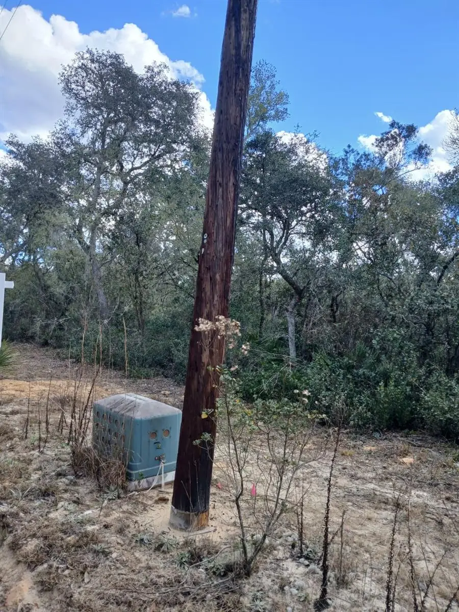 TBD NE 234 Th Place #Lots 19.20.21, Fort McCoy, FL 32134 - #2