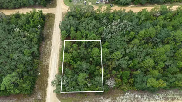 N/A Selma Ave, INTERLACHEN, FL 32148