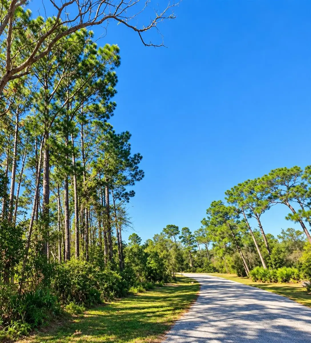 14364 Model Road, Orlando, FL 32826 - #1
