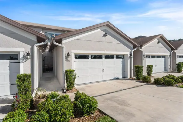 8556 Magnificent Lane, GROVELAND, FL 34736