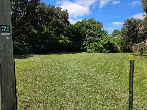 11702 Ann Street, THONOTOSASSA, FL 33592
