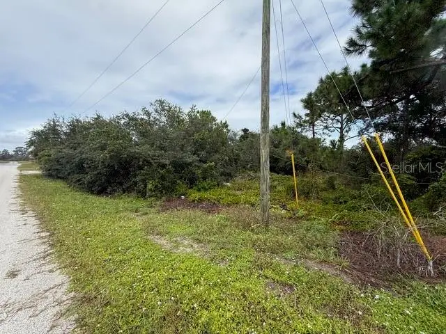 516 Morningside Drive, Lake Placid, FL 33852 - #2