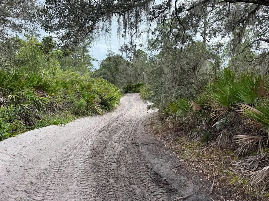 711 Bonito Street, Lake Placid, FL 33852 - #3