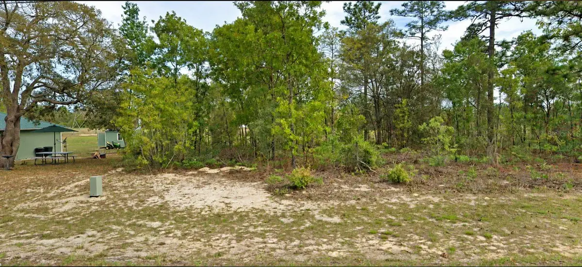 2507 W Wilmington Loop, Citrus Springs, FL 34434 - #1