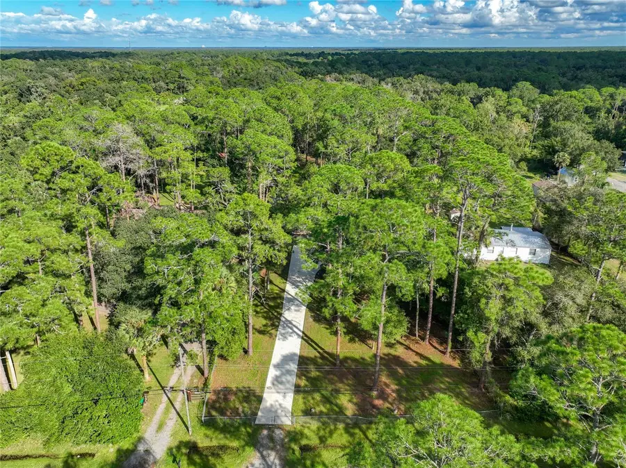 1205 Cupid Avenue, Christmas, FL 32709 - #3