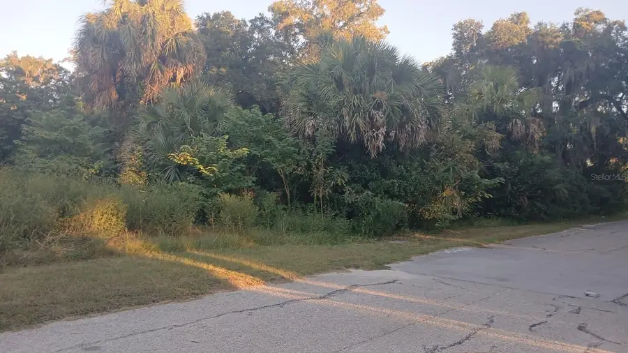 425 NW 12th Avenue, Ocala, FL 34475 - #3
