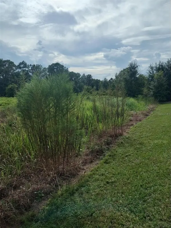 2900 W Shula Road, AVON PARK, FL 33825