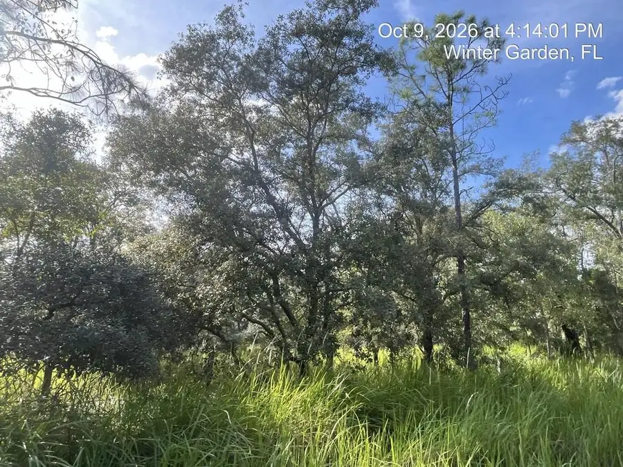 9901 Avalon Woods Drive, Winter Garden, FL 34787 - #2