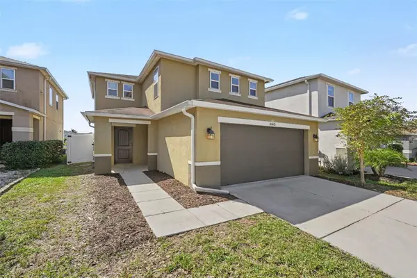 10420 Laguna Plains Drive, RIVERVIEW, FL 33578