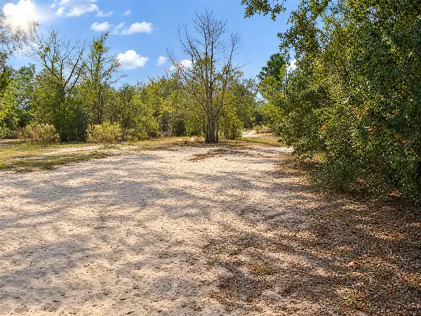 11951 Holland Drive, LEESBURG, FL 34788