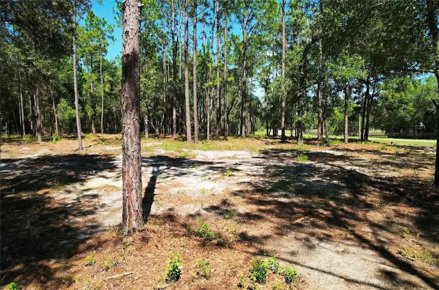 SE County Road 337, Morriston, FL 32668 - #2