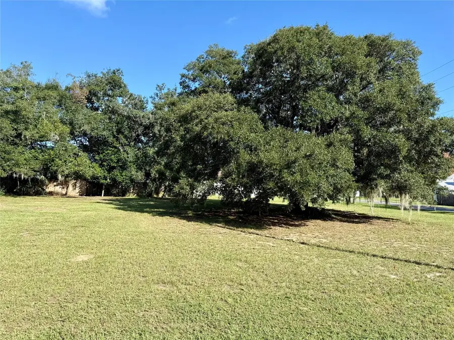 Waycross Avenue, Eustis, FL 32726 - #3