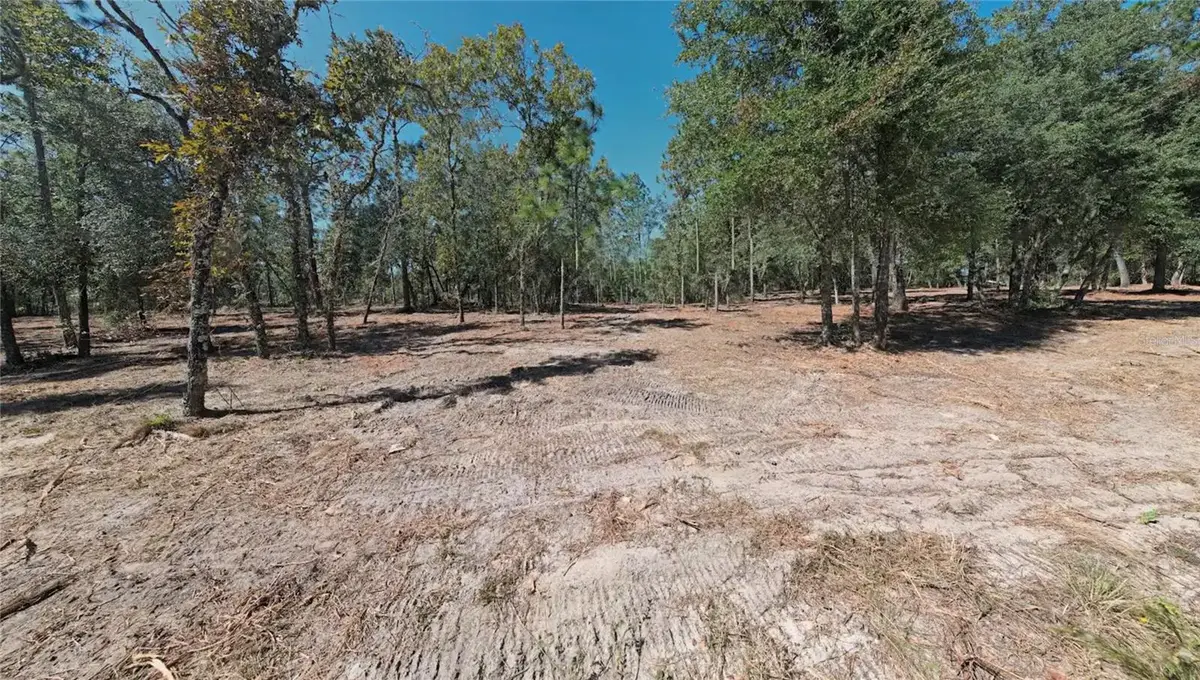NE 16th Place, Williston, FL 32696 - #1