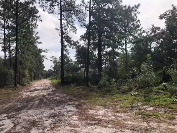 Lot 228 Park Forest Boulevard #Lot 228, MOUNT DORA, FL 32757