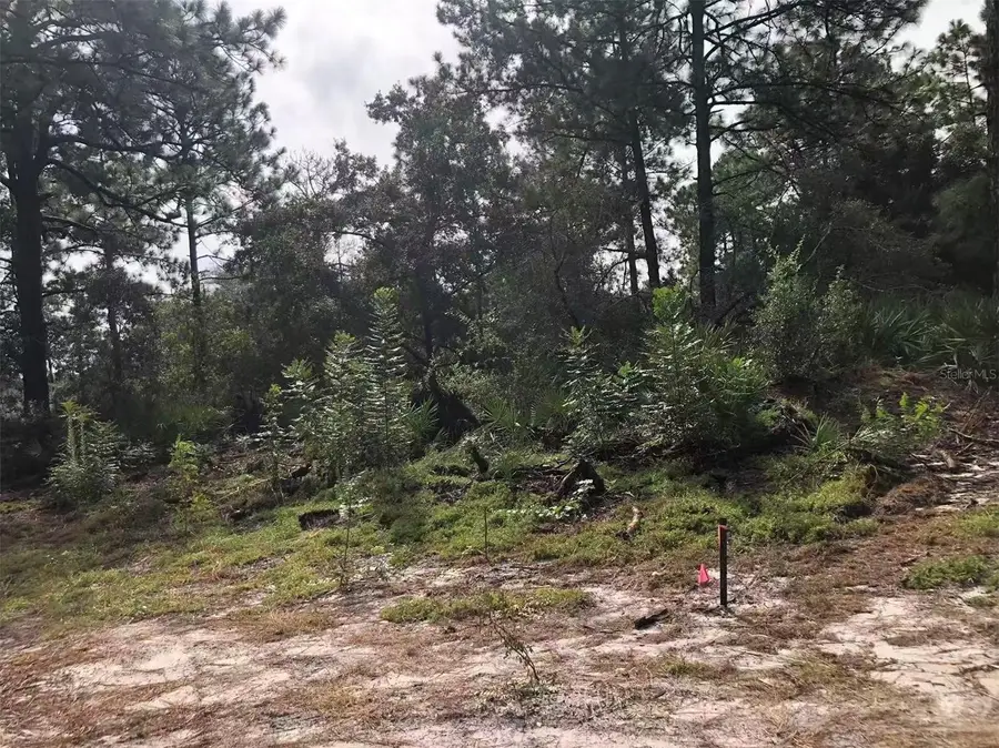 Lot 228 Park Forest Boulevard #Lot 228, Mount Dora, FL 32757 - #2
