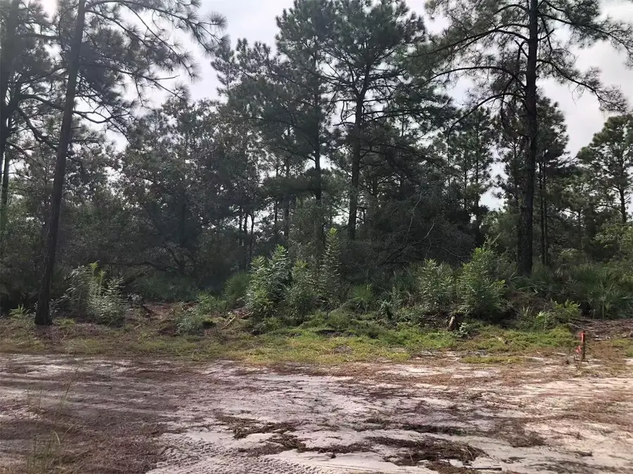 Lot 228 Park Forest Boulevard #Lot 228, Mount Dora, FL 32757 - #3