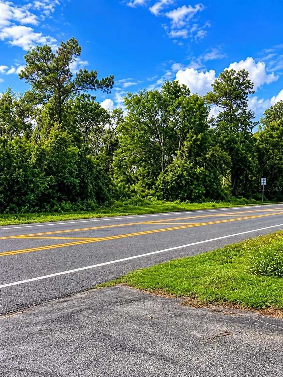 NW Little Cat Road, Madison, FL 32340 - #3