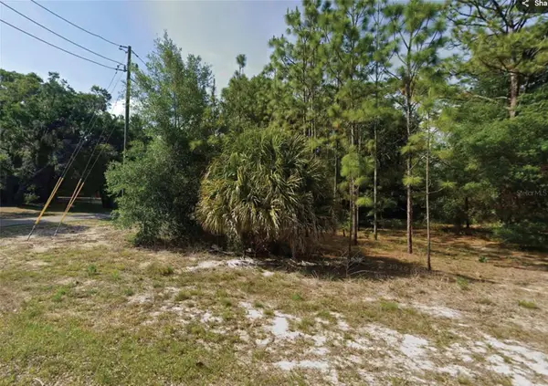 SW 86th Street, DUNNELLON, FL 34431