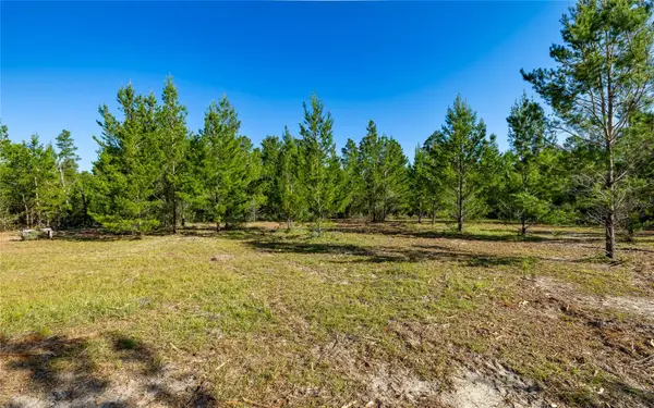 16308 Singer Road, YOUNGSTOWN, FL 32466