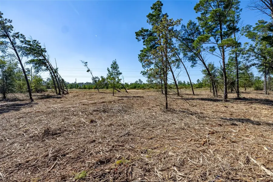 16308 Singer Road, Youngstown, FL 32466 - #2