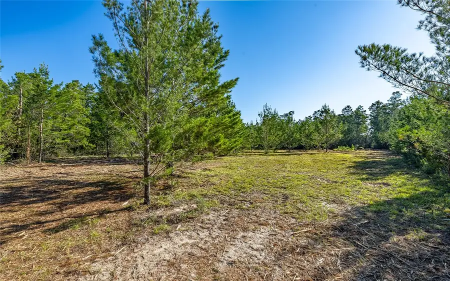 16308 Singer Road, Youngstown, FL 32466 - #3