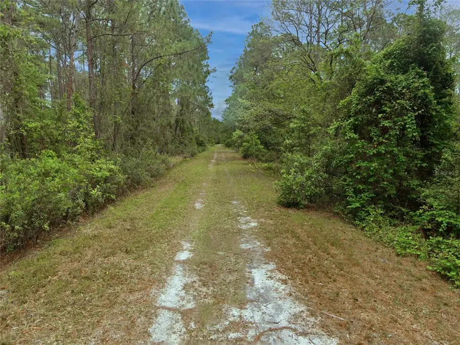 210 SE 1st Street, Georgetown, FL 32139 - #3