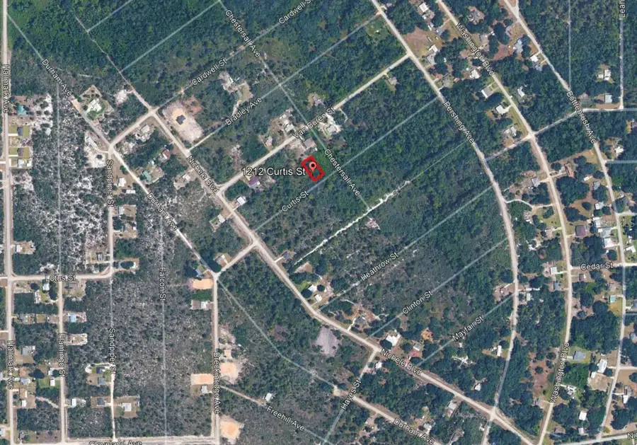 1212 Curtis Street, Lake Placid, FL 33852 - #3