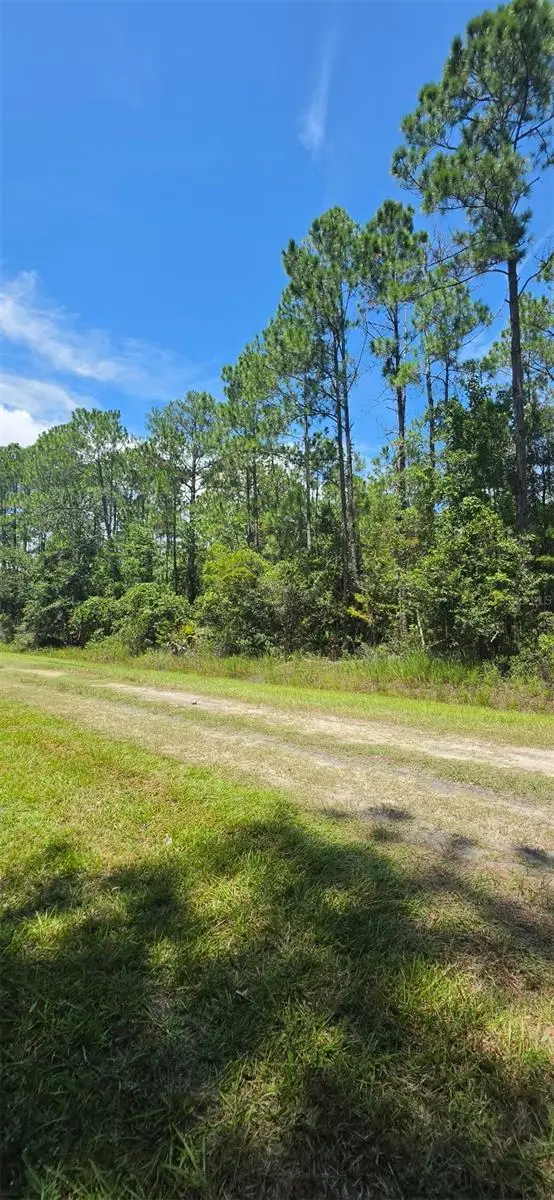 4220 Isaac Street, Hastings, FL 32145 - #1